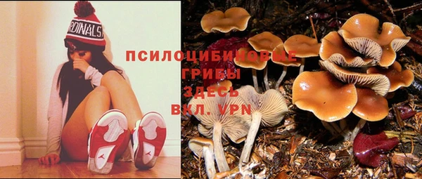 круглые Богородск